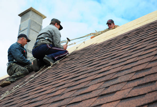 Professional Roofing Contractor in Easley, SC